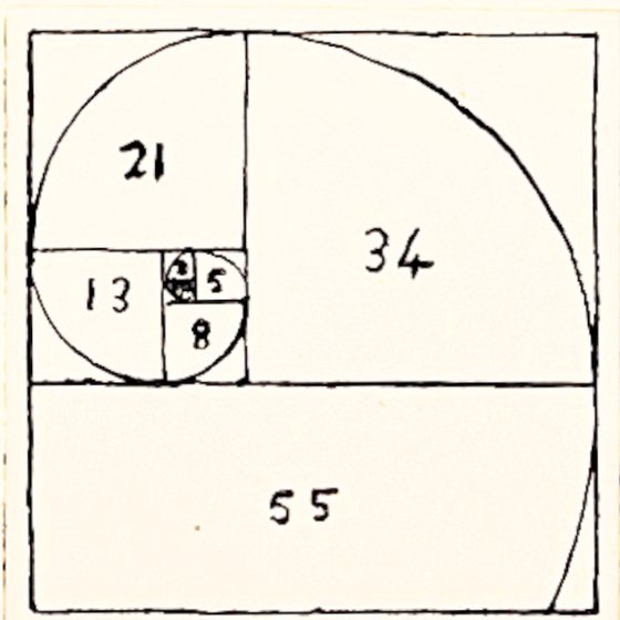 Fibonacci Spirals