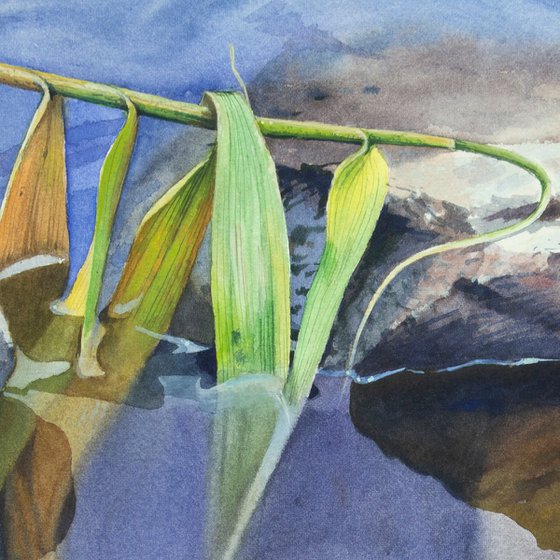 Stone in water original watercolor