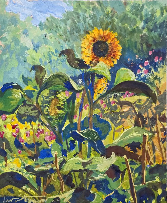 Sunflower