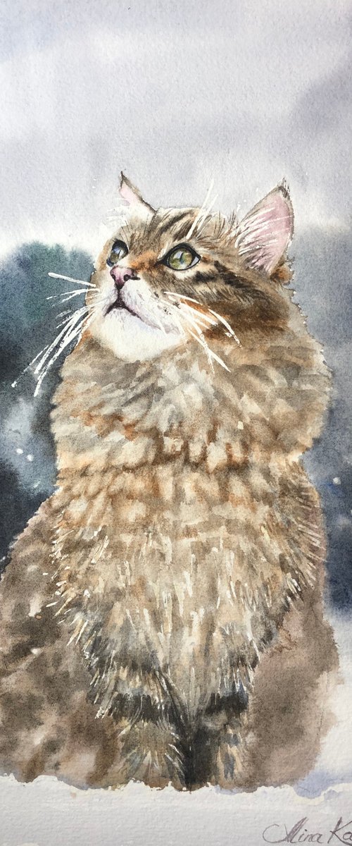 Winter cat by Alina Karpova