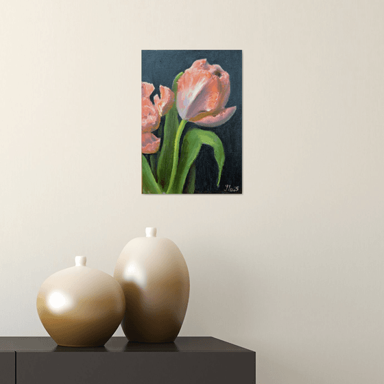 Coral tulips 4