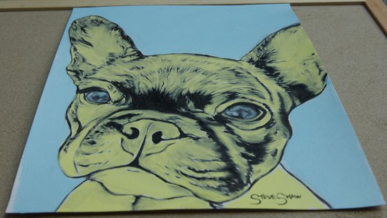 Yellow Frenchie ( oil on paper )