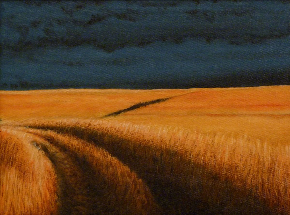 Storm on Konza Prairie by Norman Holmberg