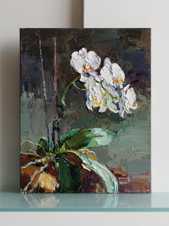 Blooming Orchid