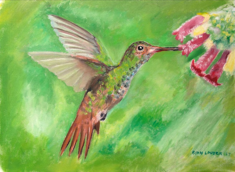 Bird Painting Humming Bird Painting Green Pictur Artfinder