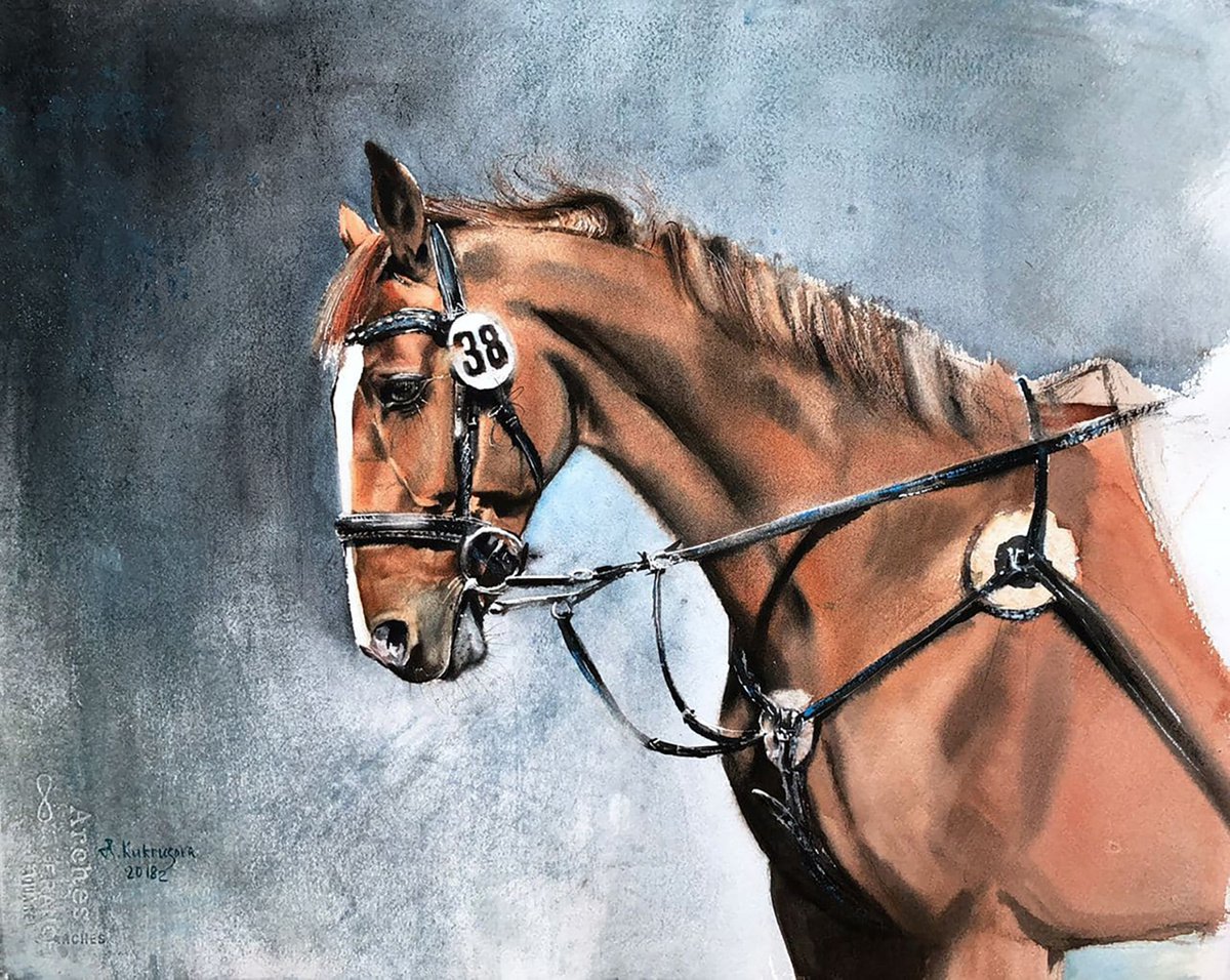 racehorse ?38 by Irina Kukrusova