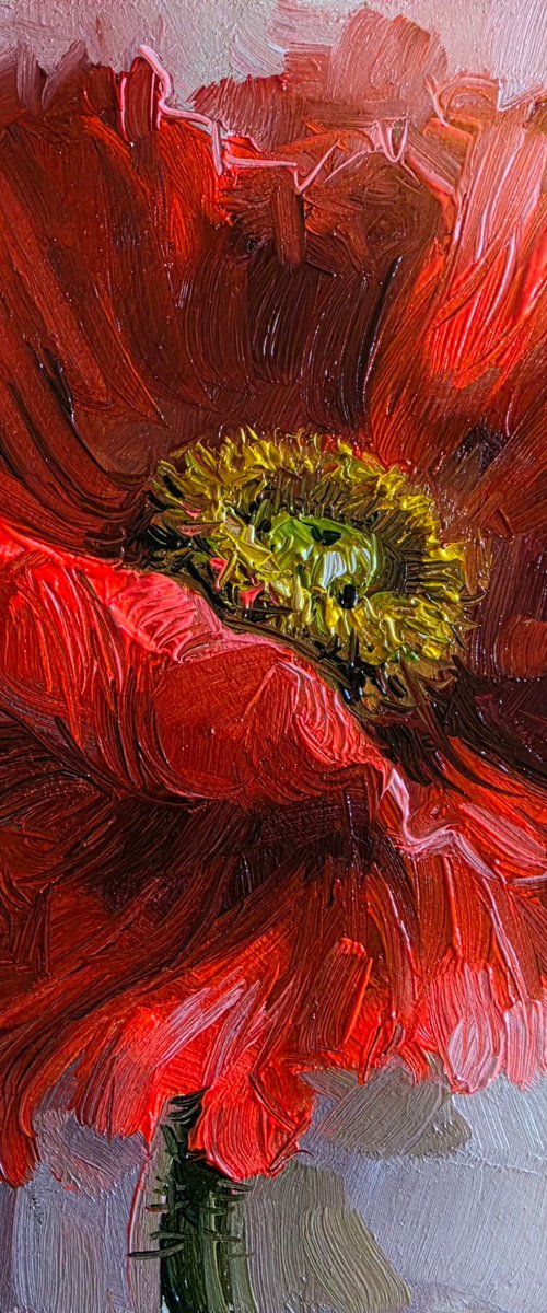 Poppy flower by Nataly Derevyanko