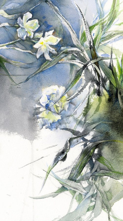 White oleander plant by Olga Sternyk