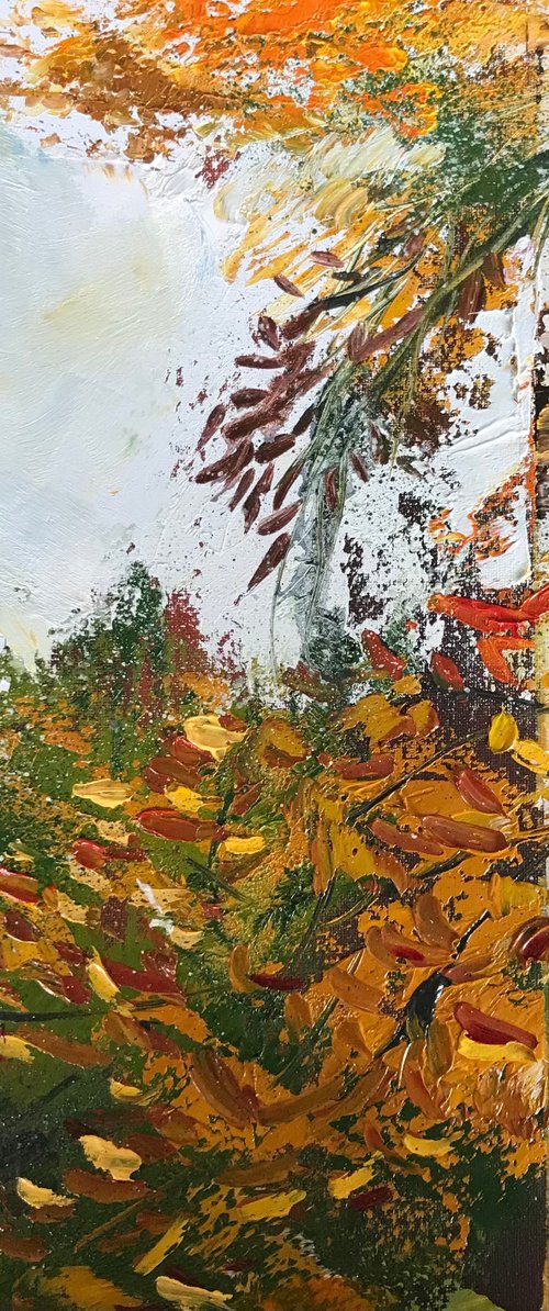 Through the Autumn Trees by Belinda Reynell