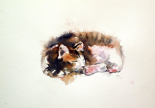 Sleeping cat by Kovács Anna Brigitta