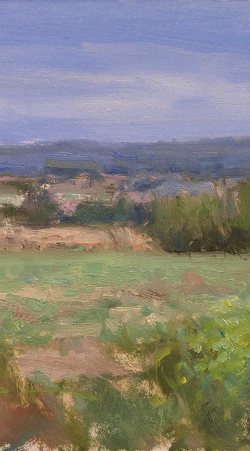 Fields in Haute-Provence by Pascal Giroud