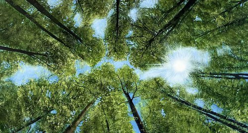 Artwork by Victoria Obolensky