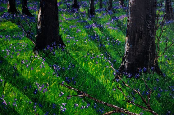 Spring In The Forest