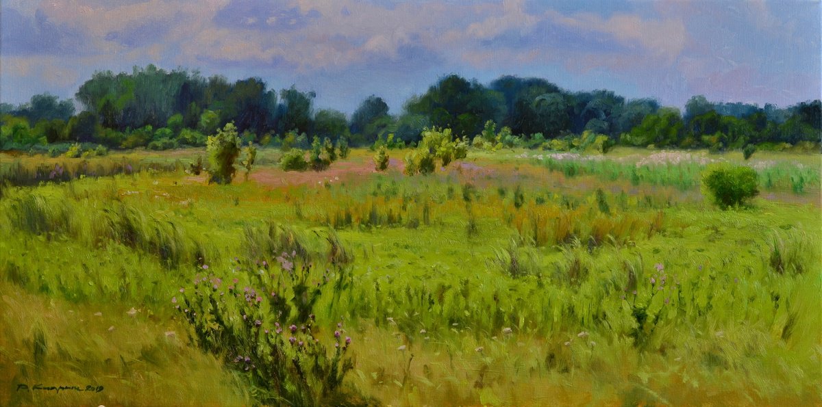 Impressionistic Landscape Oil Painting By Ruslan Kiprych, 28 X 14", Meadow Grass, Original Artwork