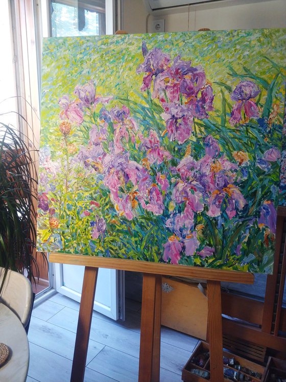Irises in the light of the wind.