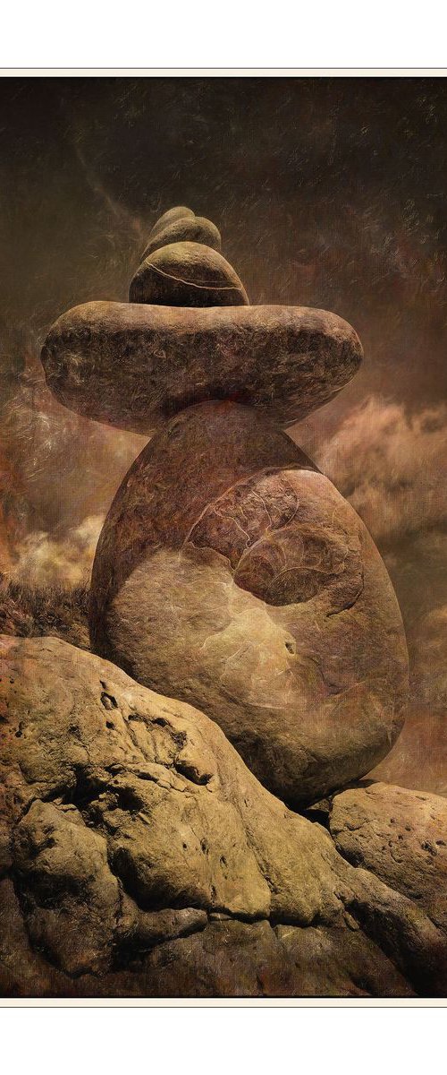 Stone Balancing The Fossil... by Martin  Fry