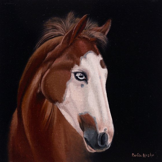 Horse Portrait 35