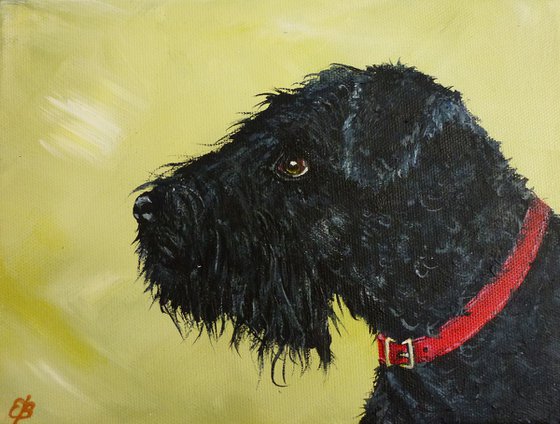 Charlie the dog