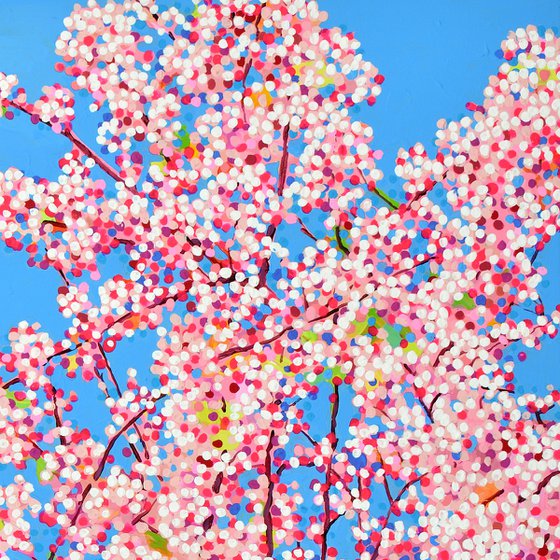 Cherry Blossom #12