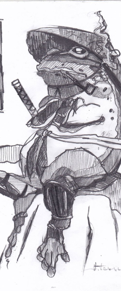 Ninja Frog by Anastasia Terskih