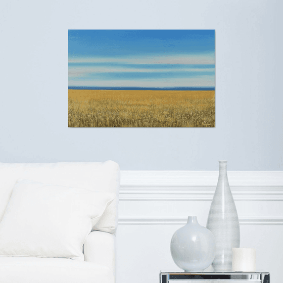 Golden Field - Blue Sky Landscape