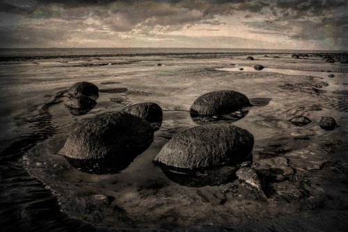 Beach Sentinals by Martin  Fry