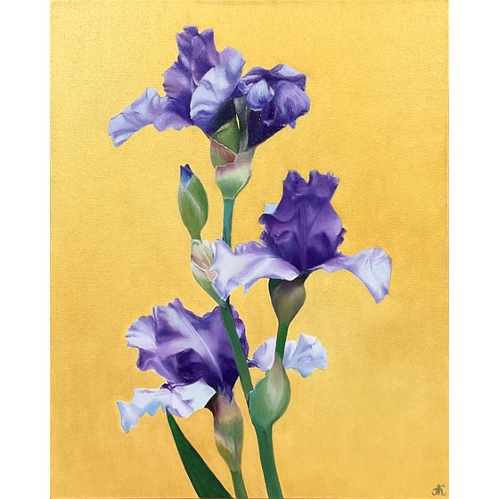 Blue Irises
