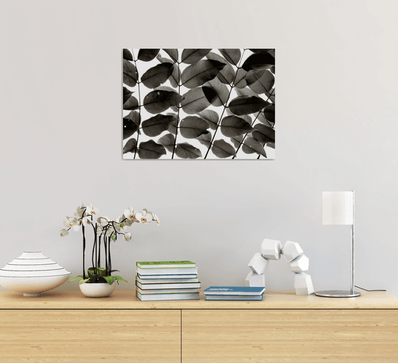 Branches and Leaves I | Limited Edition Fine Art Print 1 of 10 | 45 x 30 cm