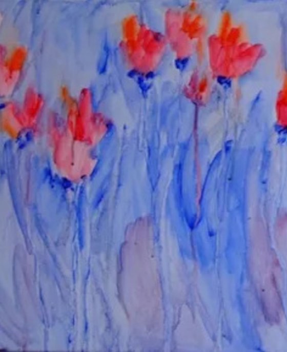 Poppies and Summer Light