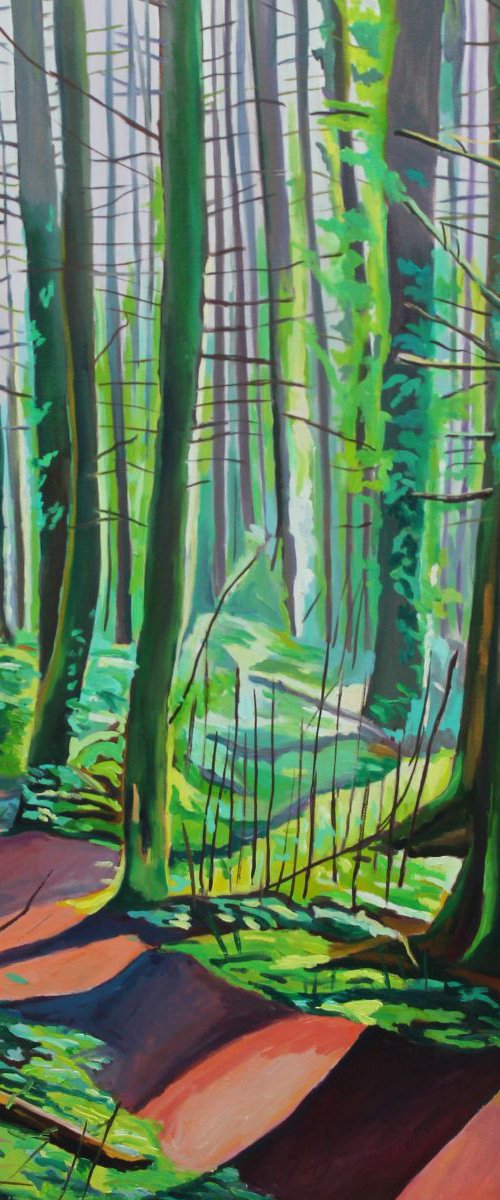 Sunlit Woods by Emma Cownie