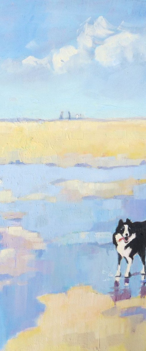 Jaunty Tail! Grace the Border Collie. by Mary Kemp