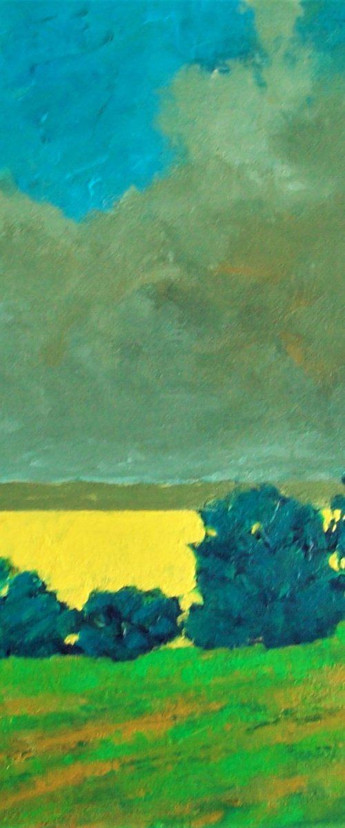 STORM OVER CANOLA by David J Edwards