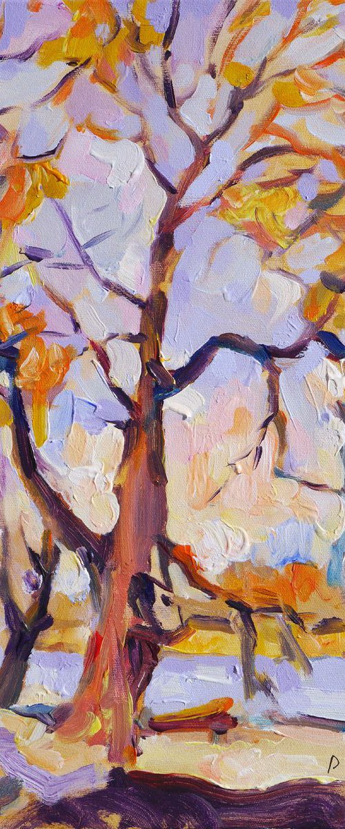 Plein air 23-02-2017 (wonder tree) by Dima Braga
