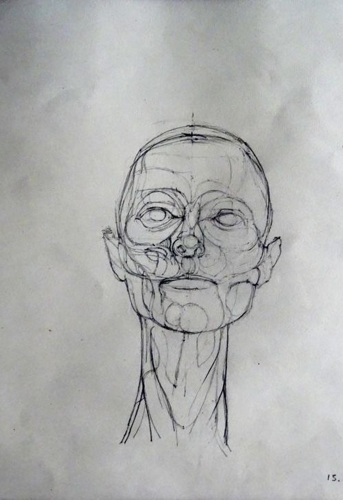 Anatomical Head by Kenneth Hay