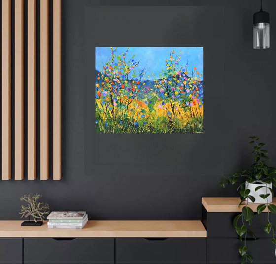 Summer wild flowers   -  6523