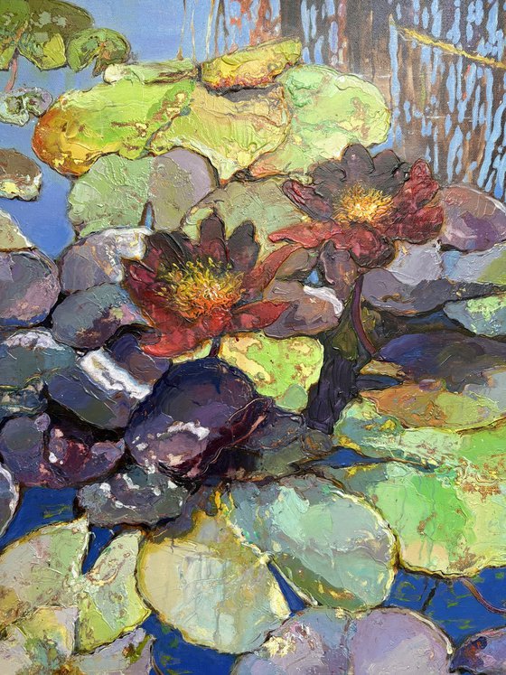 Water Lilies