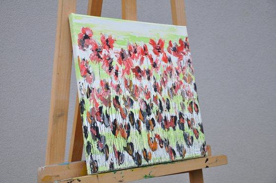 Poppy Flowers 2