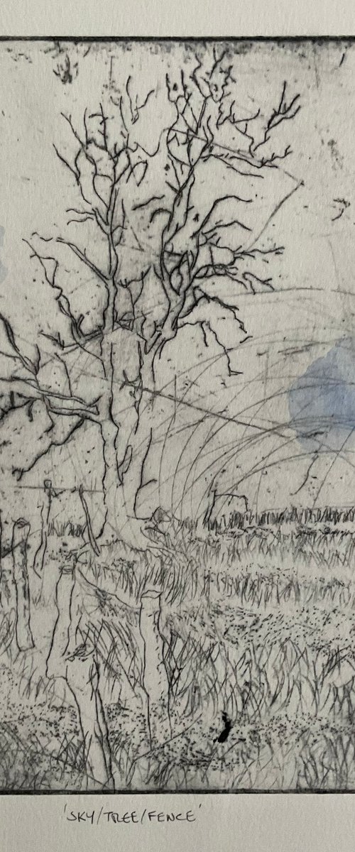 Sky,Tree,Fence by Mark Thirlwell