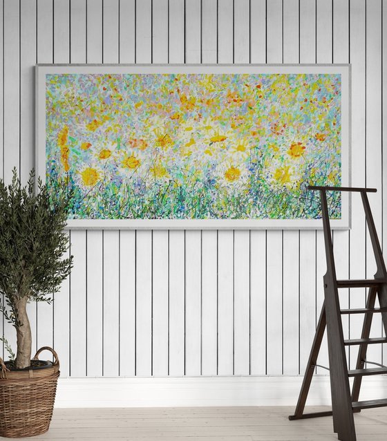 Wild Daisy Meadow