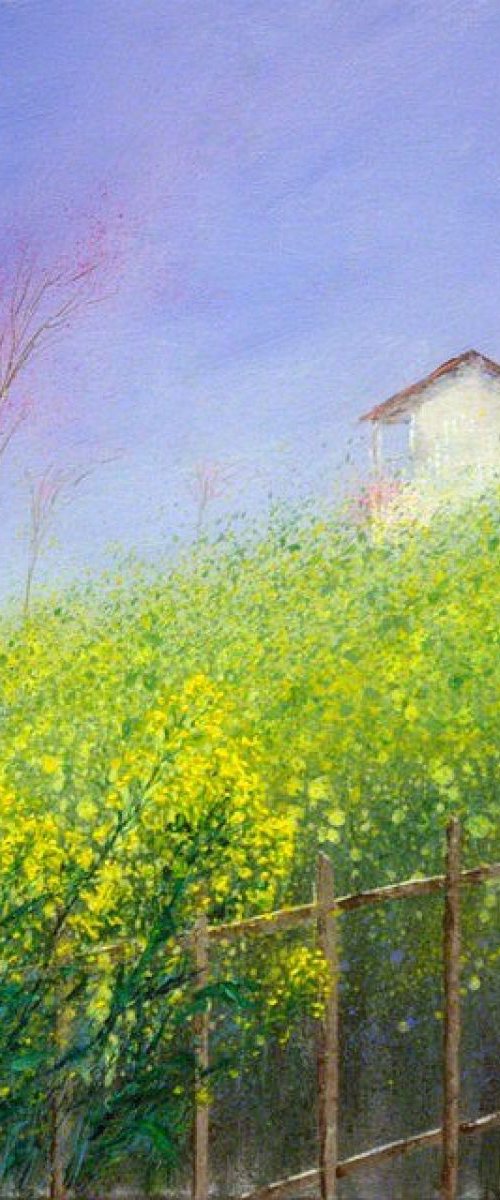 Yellow flower of Canola  around a farmhouse by Jing Tian