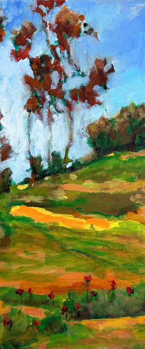 Eucalyptus on the Hill by Mutlu Ertac