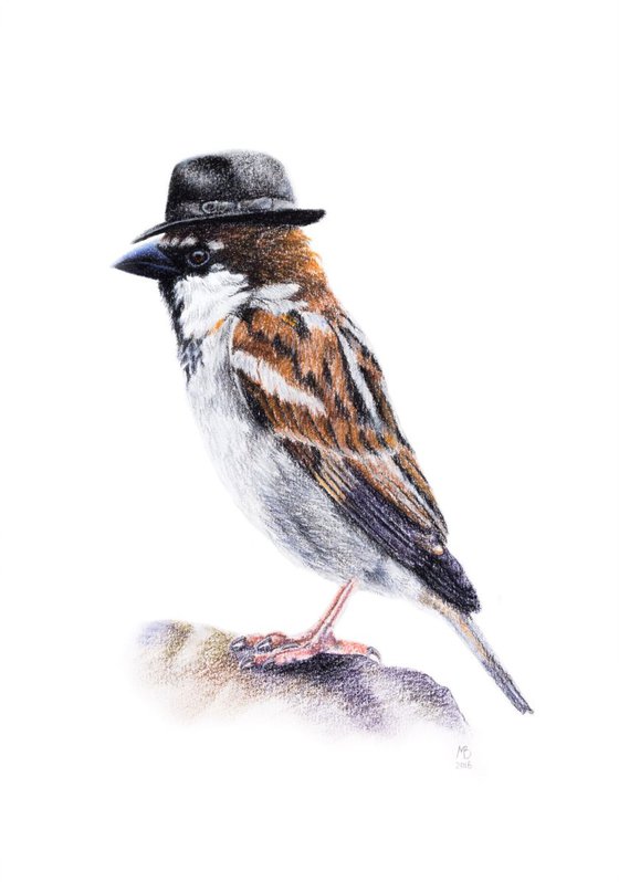 Original pastel drawing "Mr. Sparrow"