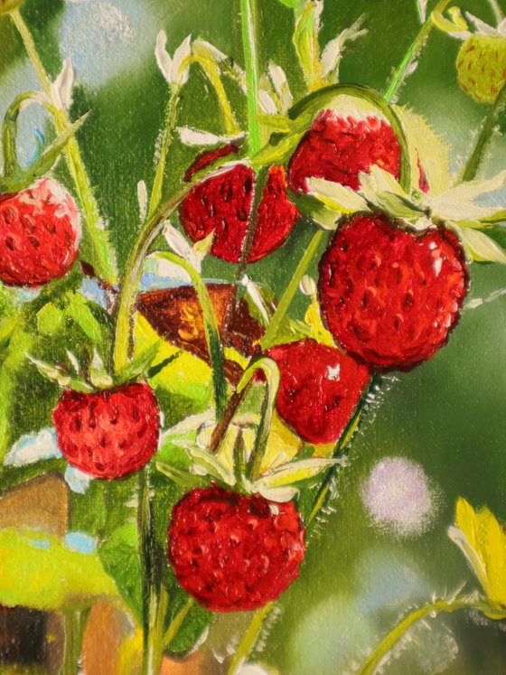 Wild Strawberries in Sunlight