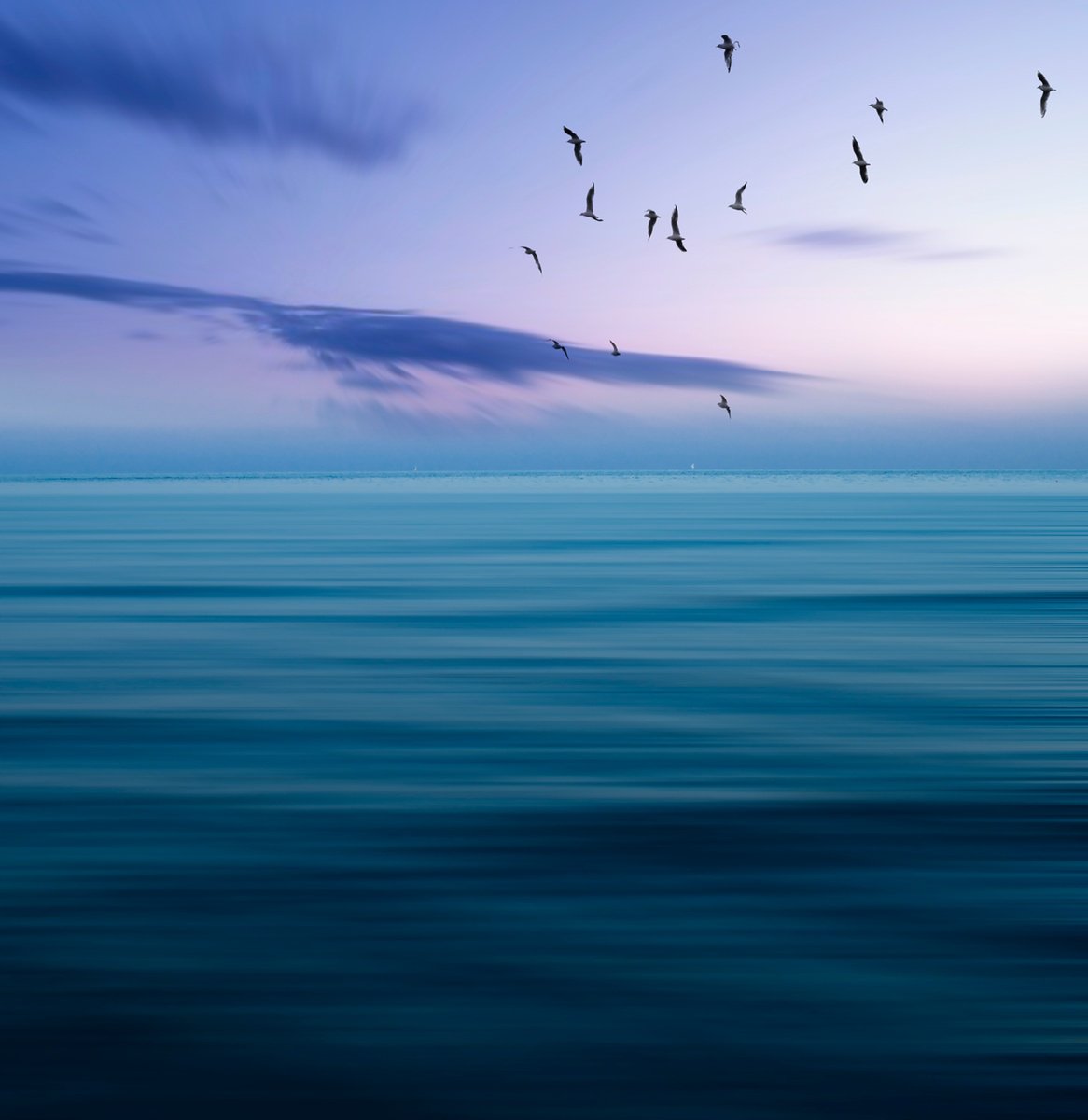 Surrealistic Landscape Photograph By Carmelita Iezzi, 24 X 24, Dreaming Summer, Original Artwork