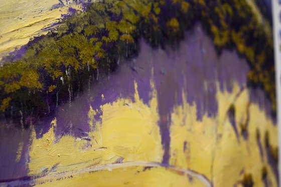 Drone view The Blue Mountains