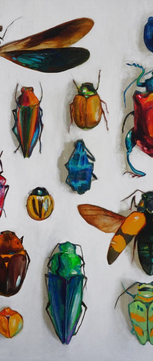 "Entomological insect collection by ANASTASIA BALABINA