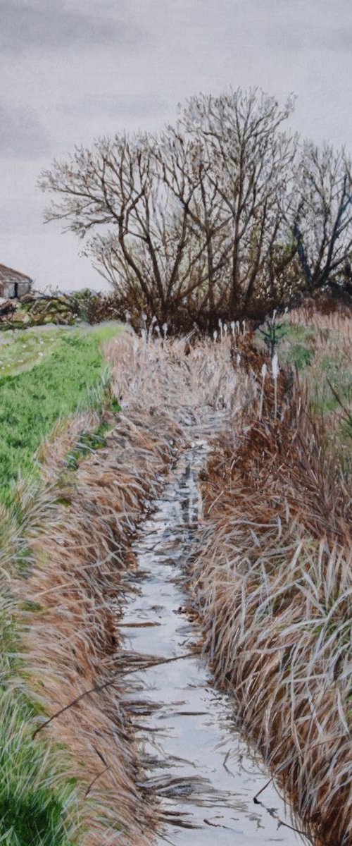 Dyke by Christopher Witchall