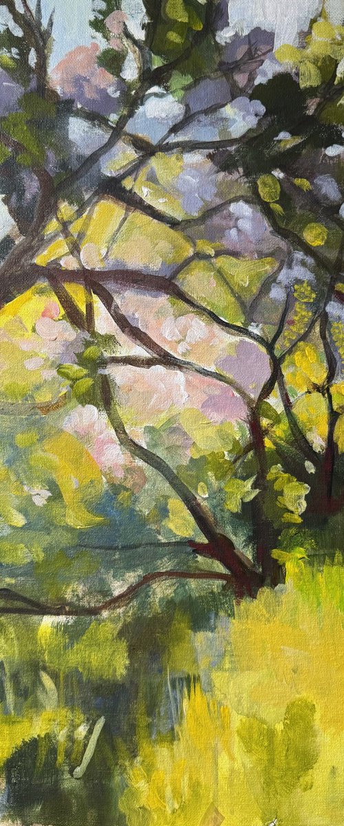 Apple orchard 3 by Ayse McGowan