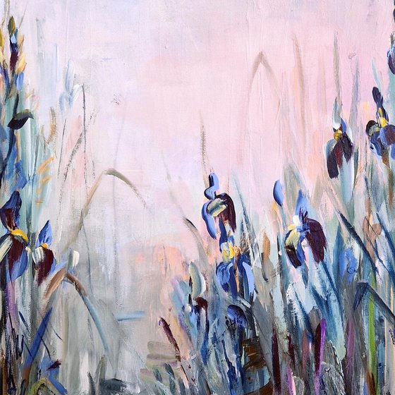 Blue Irises at Dawn