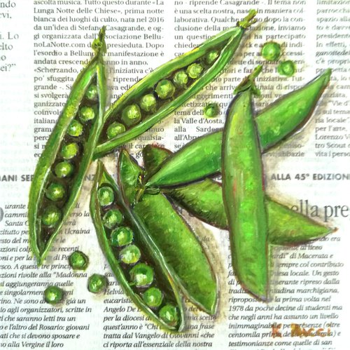 "Pea Pods on Newspaper" Original Oil on Canvas Board Painting 6 by 6 inches (15x15 cm) by Katia Ricci